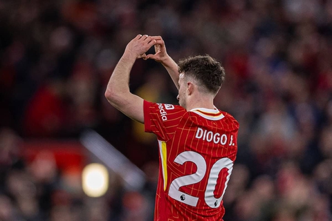 Diogo Jota - Ảnh 1.