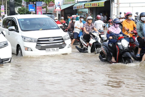 Cần Thơ - Ảnh 1.