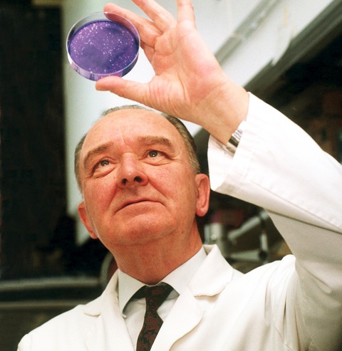 fentanyl - Ảnh 1.
