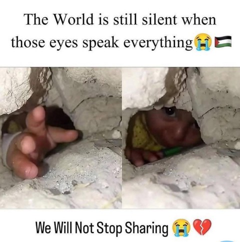 Palestine - Ảnh 1.