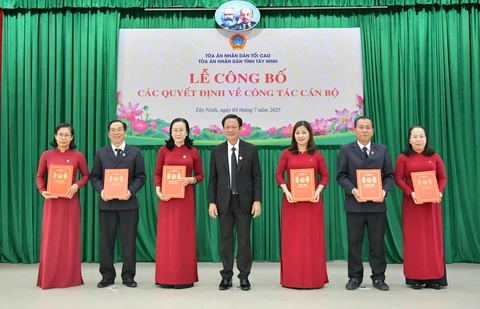 tòa án - Ảnh 1.