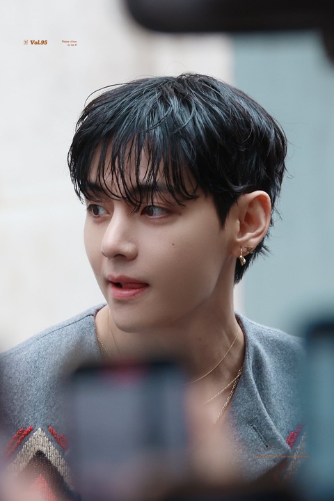 V (BTS) - Ảnh 2.