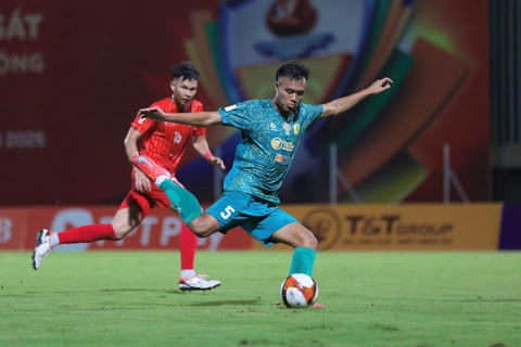 cand việt nam II - Ảnh 2.