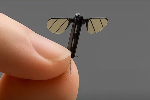 Chuyên gia quân sự nói gì về drone nhỏ ‘bằng con muỗi’ của Trung Quốc - Ảnh 1. Chuyên gia quân sự lên tiếng về drone nhỏ ‘bằng con muỗi’ của Trung Quốc - Ảnh 1.