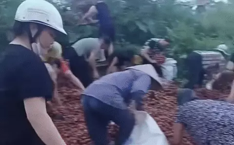 xe tải - Ảnh 1.