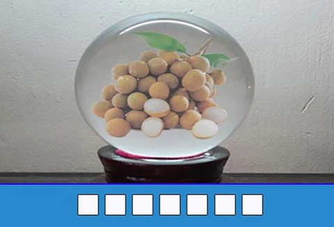 đuổi hình bắt chữ - Ảnh 1.