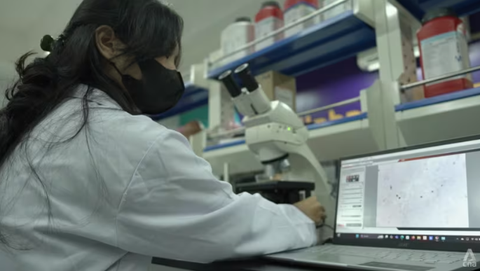 Người Đông Nam Á đang 'ăn nhựa mỗi ngày' mà không hay biết - Ảnh 1.