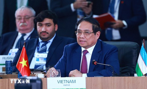 BRICS - Ảnh 1.