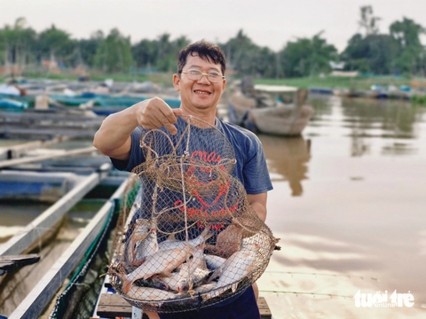 cá cóc - Ảnh 1.