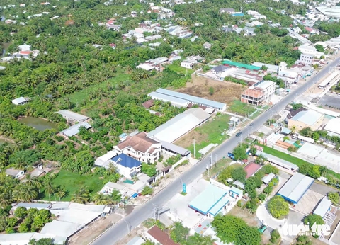 đấu giá - Ảnh 1.