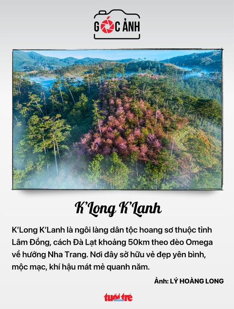 tỉ phú - Ảnh 8.