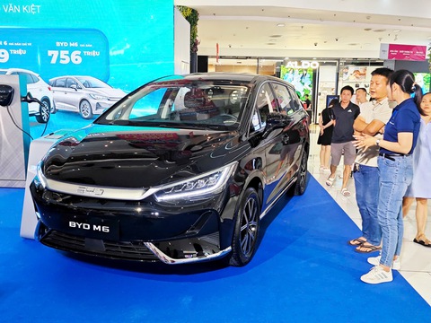 xả hàng - Ảnh 1.