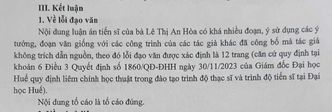 Luận án tiến sĩ - Ảnh 3.
