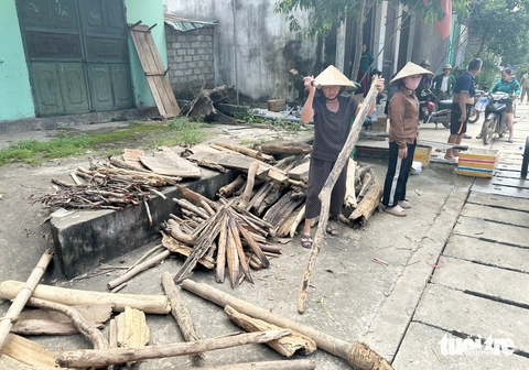 gỗ - Ảnh 5.
