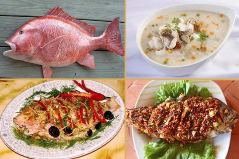 Ngộ độc cả biển, cả gia đình nhập viện sau bữa ăn hải sản - Ảnh 1. Ngộ độc cá biển, cả gia đình nhập viện sau bữa ăn hải sản - Ảnh 1.