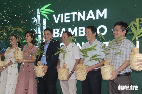 Quỹ phát triển tre Việt muốn đánh thức ngành tre - Ảnh 1.