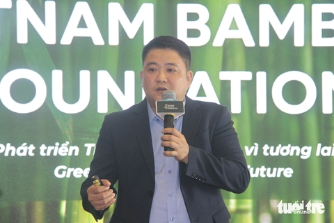 Quỹ phát triển tre Việt - Ảnh 3.
