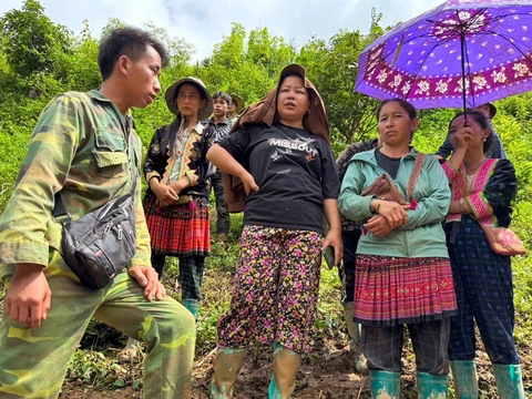 Hình ảnh sạt lở đáng sợ ở bản Háng Pu Xi, Điện Biên - Ảnh 10.