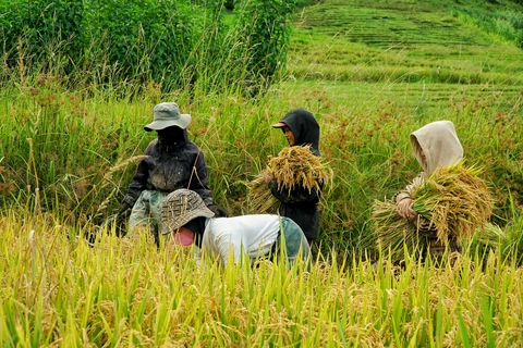 Ngọc Linh - Ảnh 5.