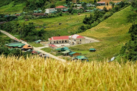 Ngọc Linh - Ảnh 9.