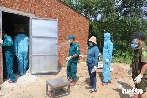 Theo chân đội xử lý heo bị dịch tả châu Phi - Ảnh 1.