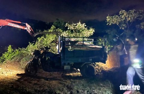 dịch tả châu Phi - Ảnh 10.