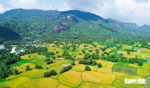 tuyệt tình cốc - Ảnh 3.