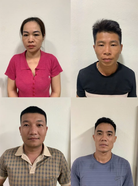 heo - Ảnh 1.