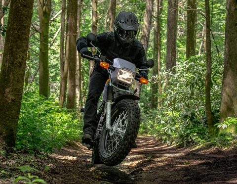 Yamaha TW200 - Ảnh 1.