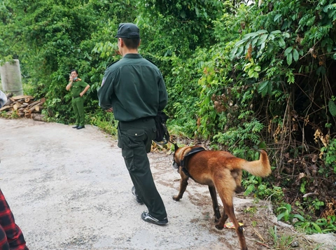 24h tìm kiếm nam thanh niên mất tích khi leo núi ở Nha Trang: Mong chờ một phép màu - Ảnh 3. Leo núi - Ảnh 3.
