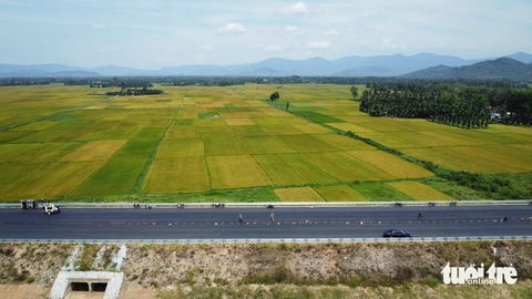 cao tốc Hoài Nhơn - Quy Nhơn - Ảnh 3.
