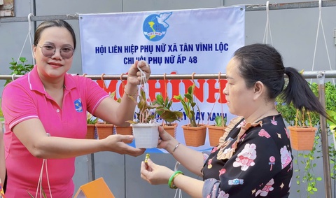 Câu đố kiến thức: Cây xanh sử dụng khí gì để quang hợp?