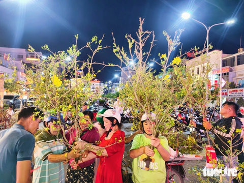 Cảnh Tết Long An