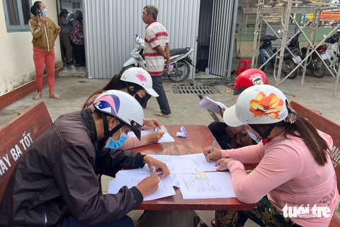 cây kiểng - Ảnh 1.