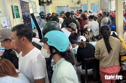 Người dân Vĩnh Long ùn ùn đổ xô đi xin giấy xác nhận nguồn gốc hoa, cây kiểng - Ảnh 2.