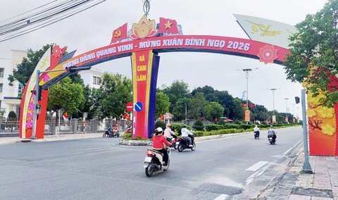 sử dụng đất - Ảnh 1.