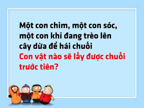 Chim, sóc và khỉ cùng thi đua hái chuối, con nào thắng? - Ảnh 1. Chim, sóc và khỉ cùng thi đua hái chuối, con nào thắng? - Ảnh 1.