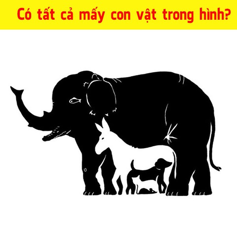 Người mắt 10/10 mới tìm thấy đủ 13 con vật trong tranh - Ảnh 1. Người mắt 10/10 mới tìm thấy đủ 13 con vật trong tranh - Ảnh 1.
