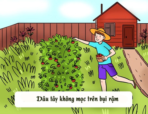 Đâu là điểm vô lý trong tranh cô gái mê selfie? - Ảnh 6.