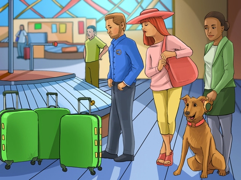 Hãy giúp ba vị khách nhận đúng vali của họ - Ảnh 1. Hãy giúp ba vị khách nhận đúng vali của họ - Ảnh 1.