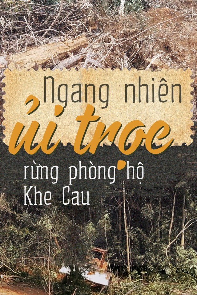 'Cạo trọc' rừng phòng hộ bằng xe ủi