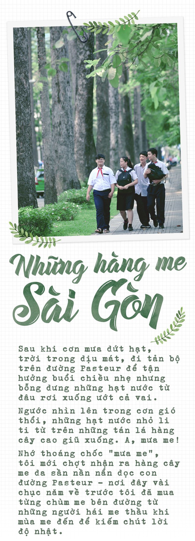Những hàng me Sài Gòn