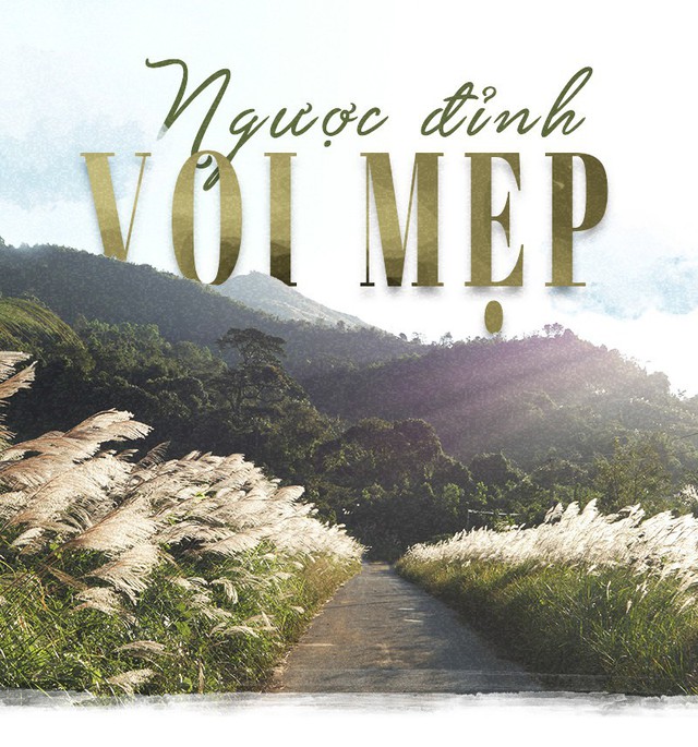 Ngược đỉnh Voi Mẹp, nóc nhà vùng đất lửa Quảng Trị