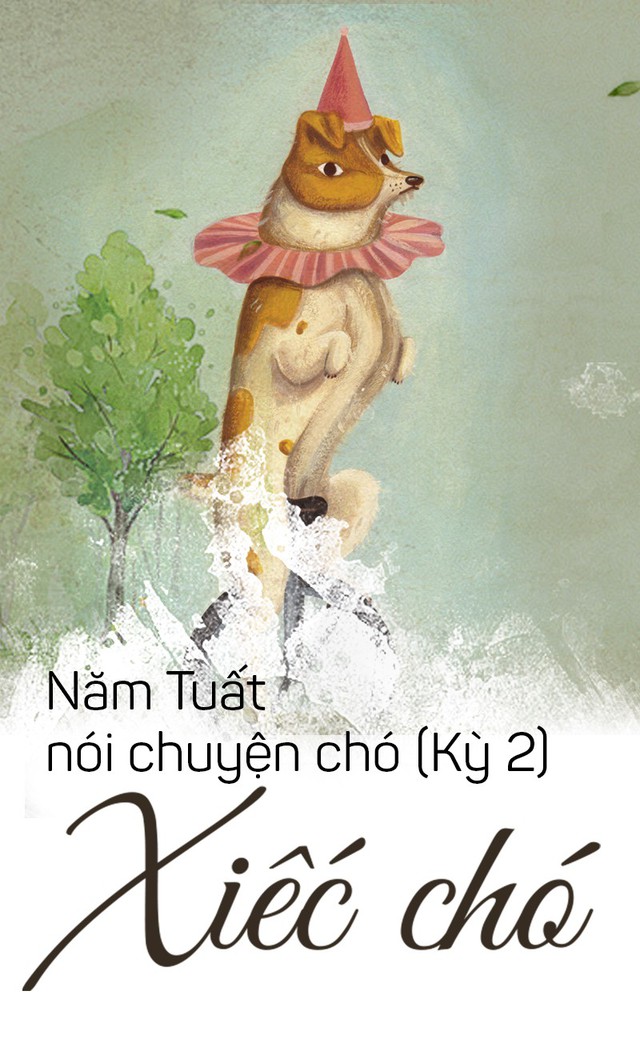 Năm Tuất nói chuyện chó: Xiếc chó