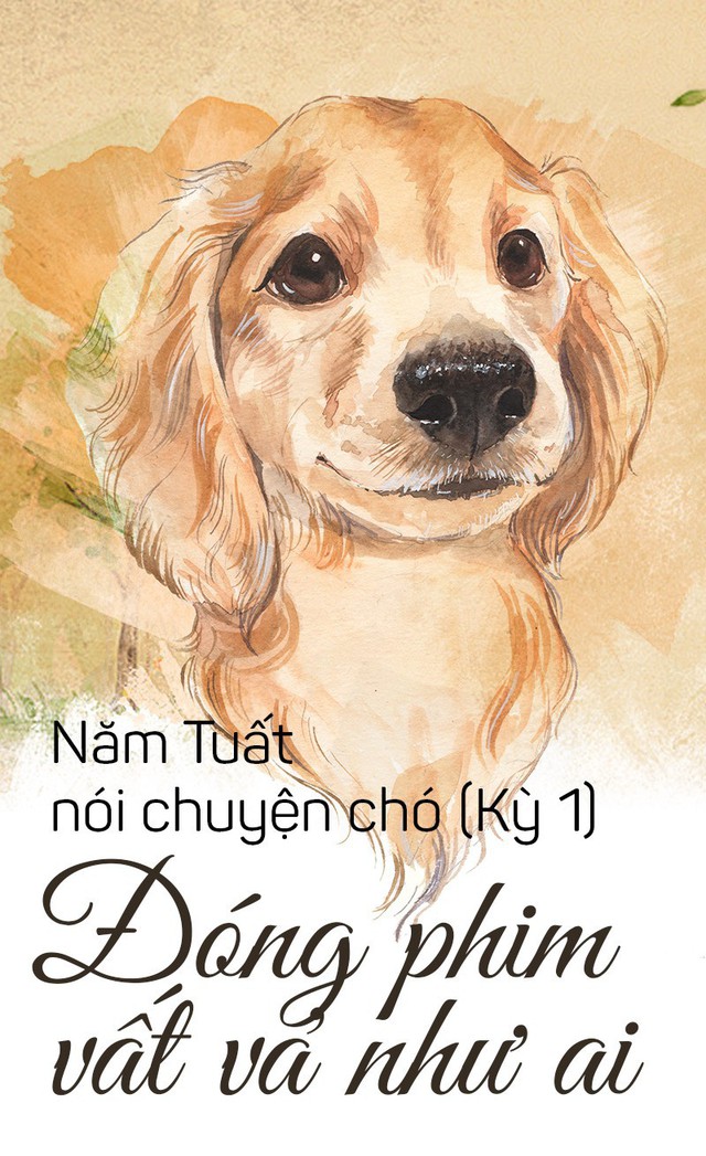 Năm Tuất nói chuyện chó: Khi chó đóng phim