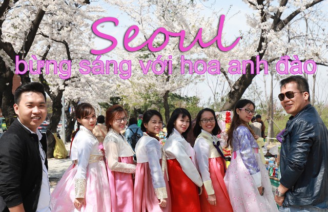 Seoul bừng sáng với hoa anh đào