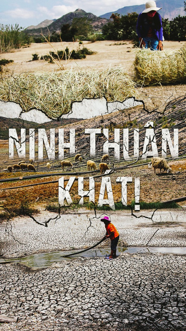 Ninh Thuận khát cháy ngay đầu mùa khô
