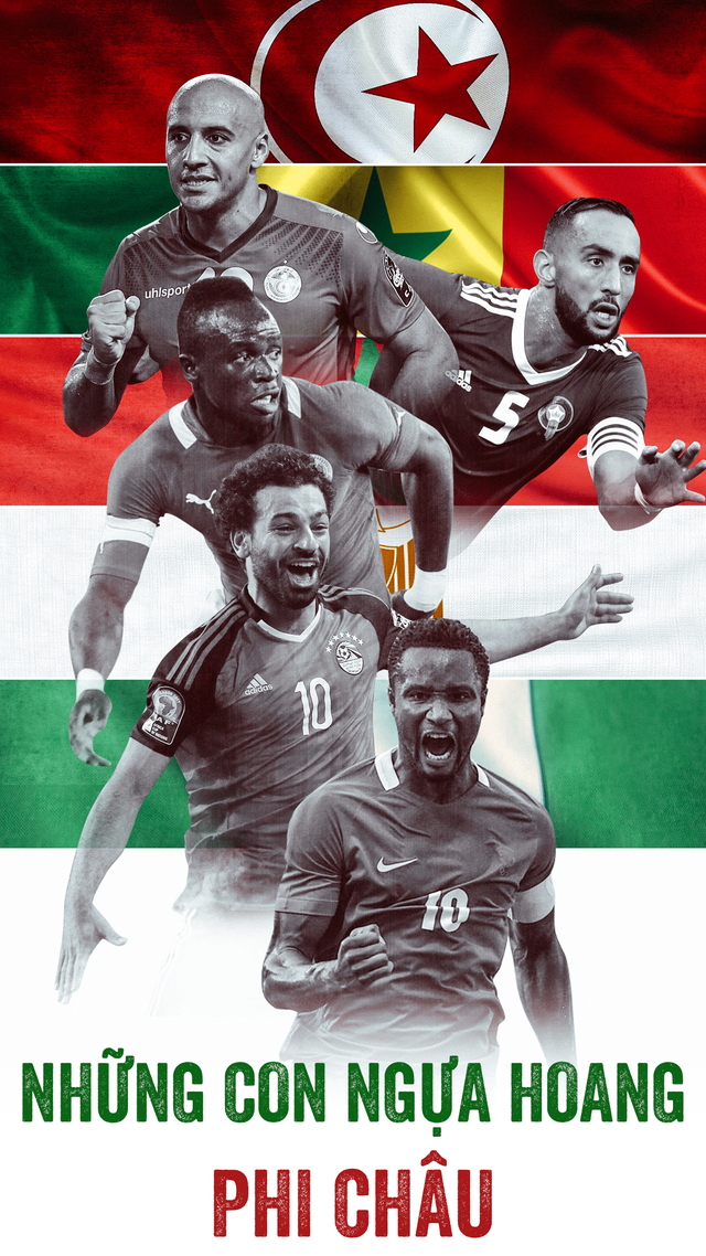 World Cup 2018 mong chờ gì từ những con ngựa hoang Phi châu