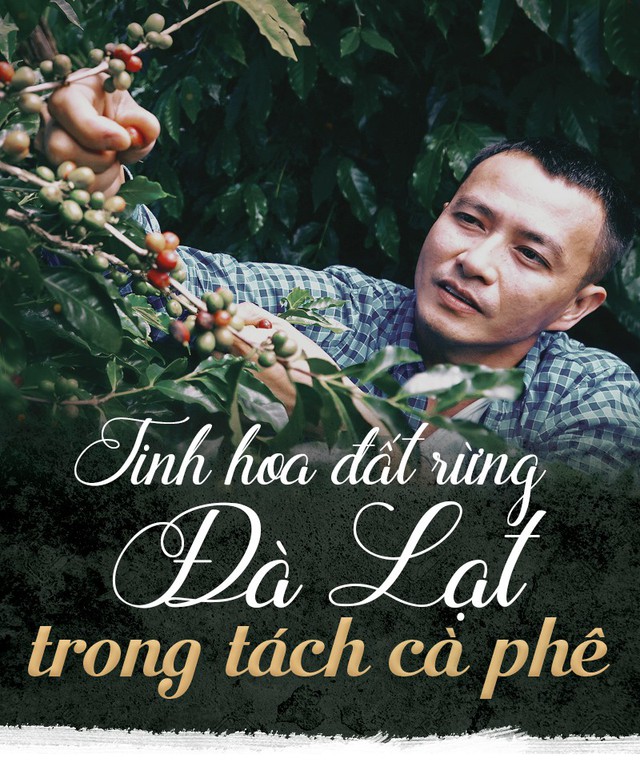 Tinh hoa đất rừng Đà Lạt trong tách cà phê