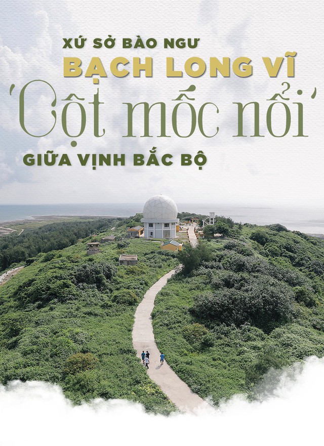 Ở xứ sở bào ngư Bạch Long Vĩ